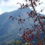 Συνάντηση Γ. Τύπου του Δήμου Σάββατο 02/06 με επαγγελματίες των Τζουμέρκων για το τηλεοπτικό σποτ